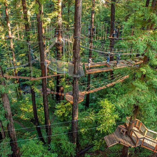 HUMANTA forest adventure park treetop course