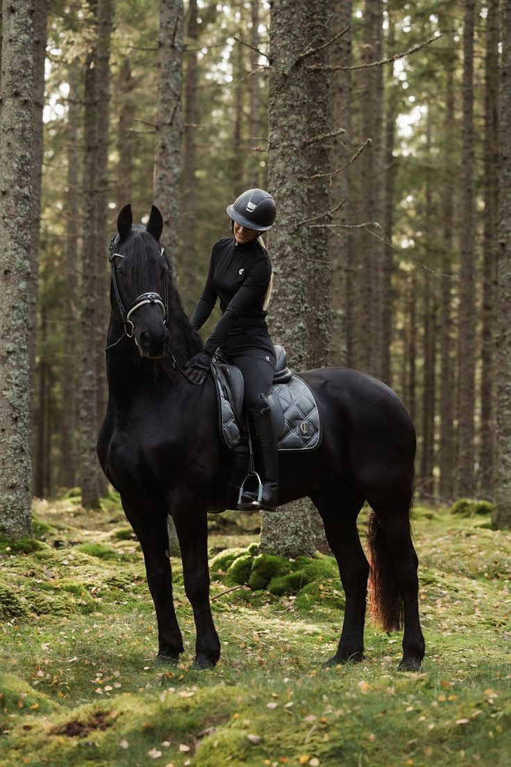 HUMANTA equestrian centre horse riding